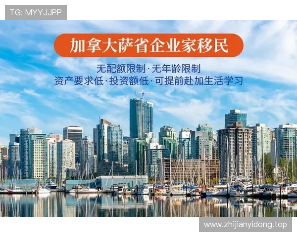 深入解析加拿大企业家移民政策与成功案例启示