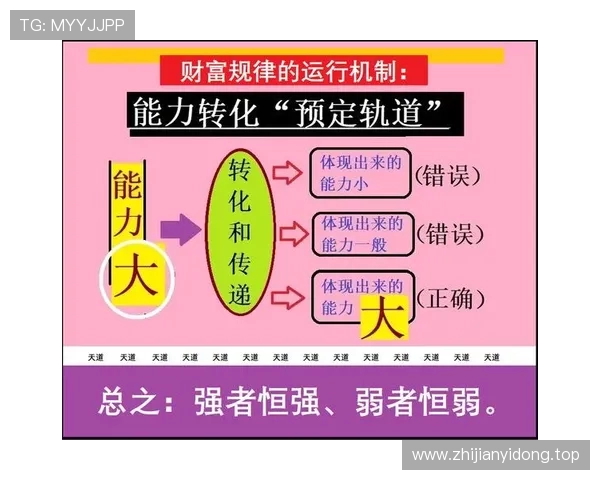 从资本企业家视角深入解析现代经济运行逻辑与创新发展动力机制体